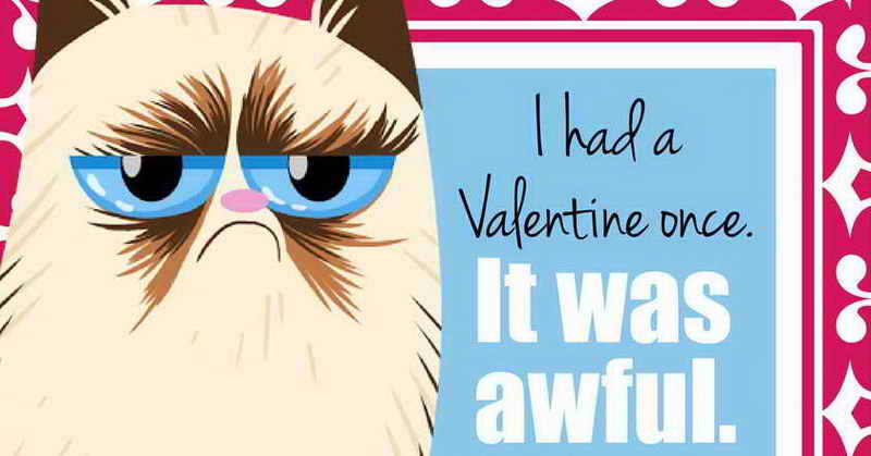 See How Manhoos Billi Wishes Valentines Day