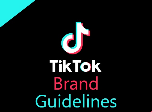 Tiktok guidelines