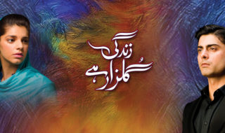 zindagi gulzar hai netflix