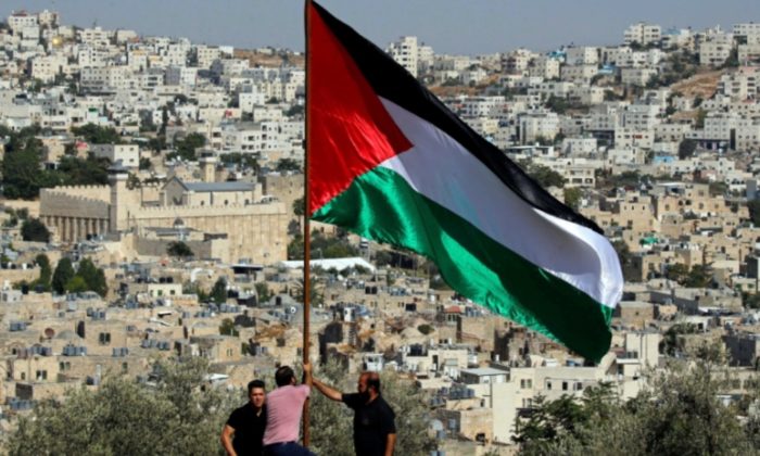 Here's How We Can Help & Offer Support To Palestine