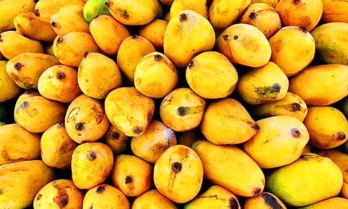 to buy perfect mangoes tips