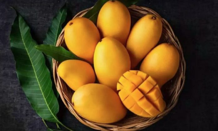 mango recipes