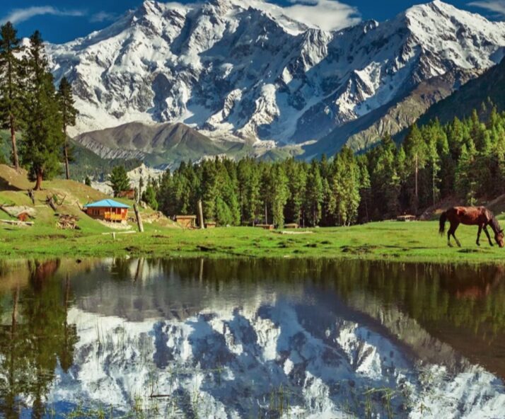 fairy meadows in pakistan