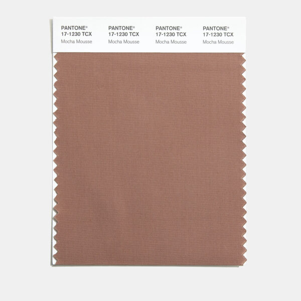 pantone mocha mousse