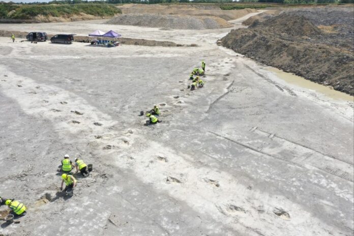 Hundreds of Dinosaurs Footprint Found in UK Quarry