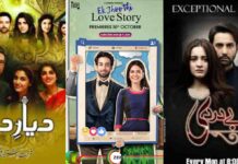 Hidden Pakistani Dramas That Deserve Your Attention