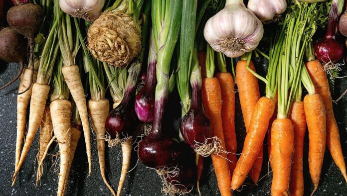 Top 5 Seasonal Winter Vegetables and their Recipes You Need to Try