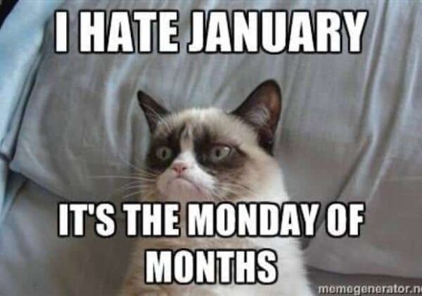 I Hate January memes