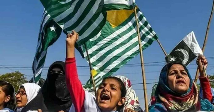 Kashmir Solidarity Day: A Day to Stand with Kashmir