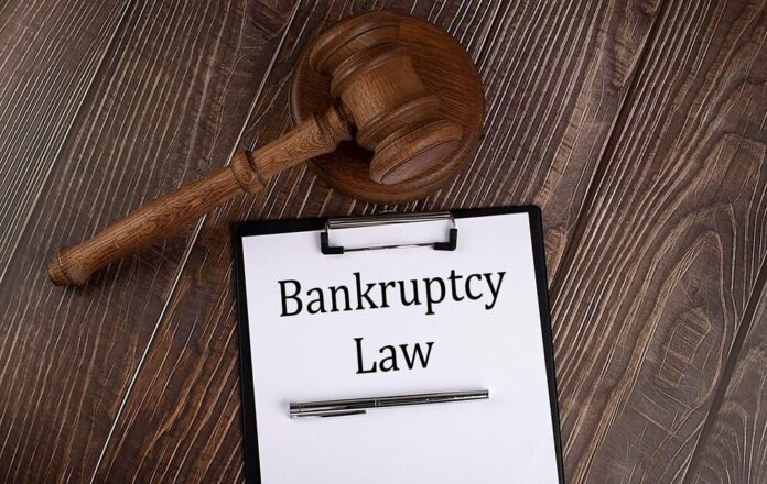 Government Introduces Bankruptcy Law to Support Businesses and Revive Industries